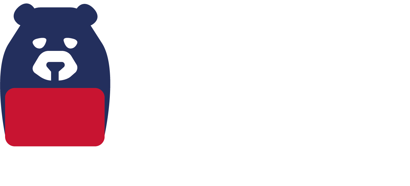 Bear in Studio
