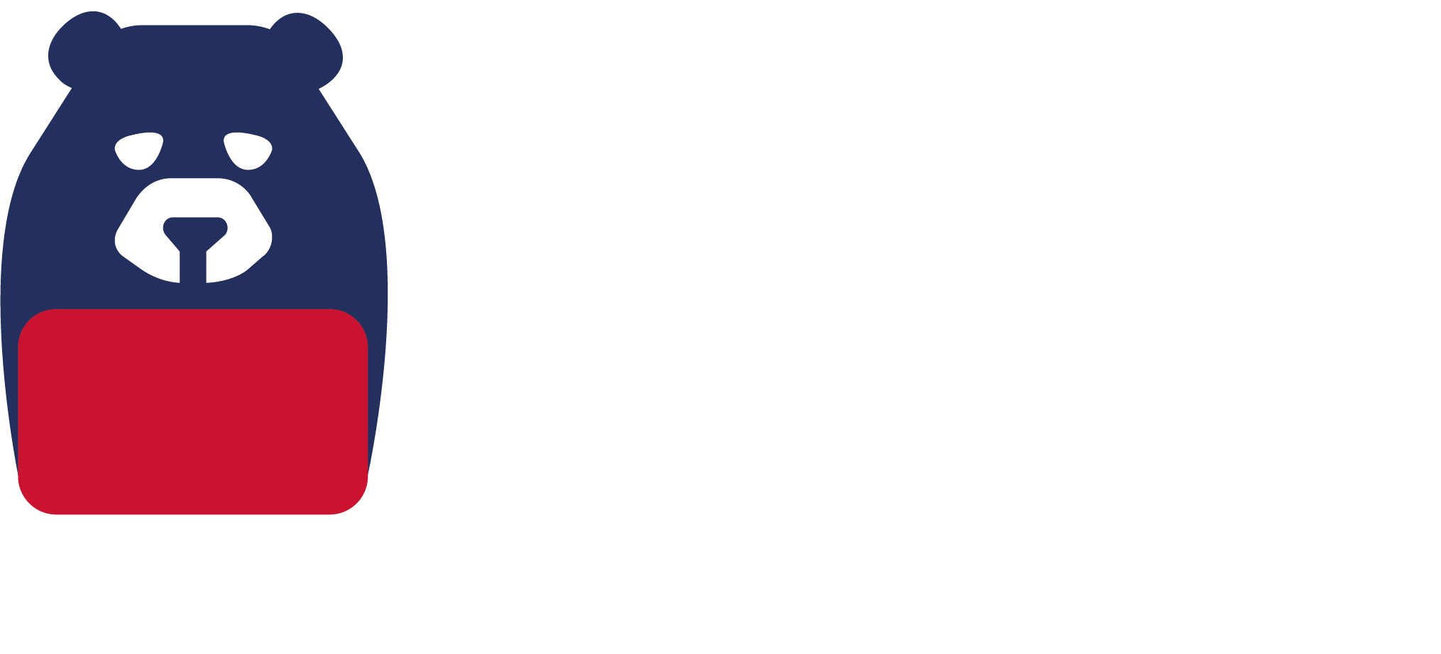 Bear in Studio